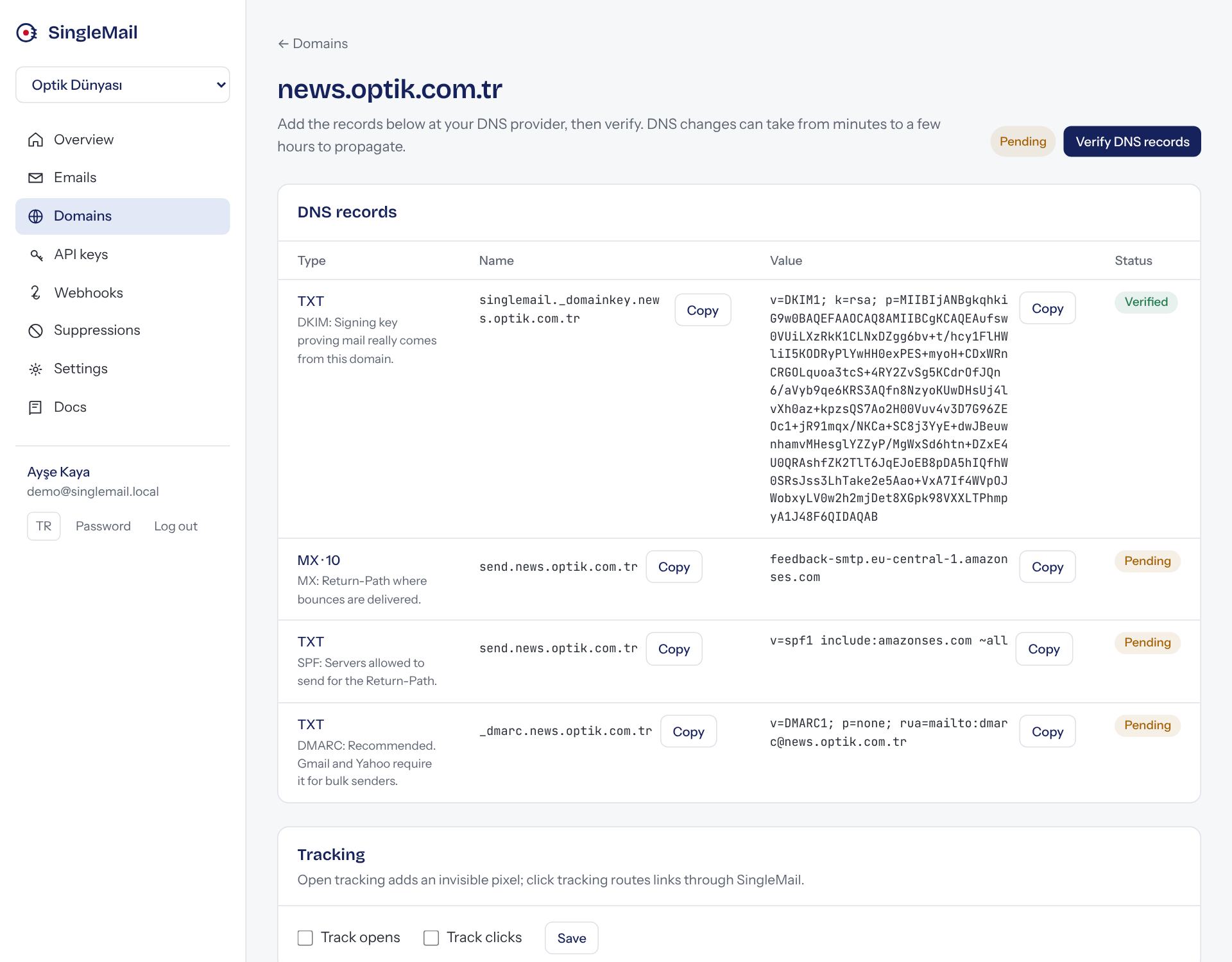 The DNS records screen: copy each record into your DNS provider.
